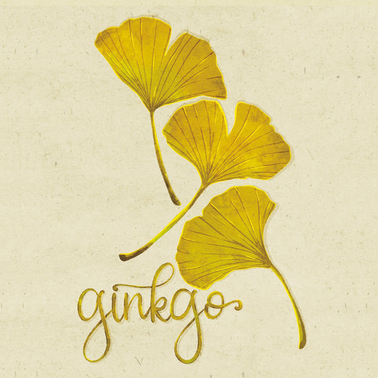 Ginkgo image 0