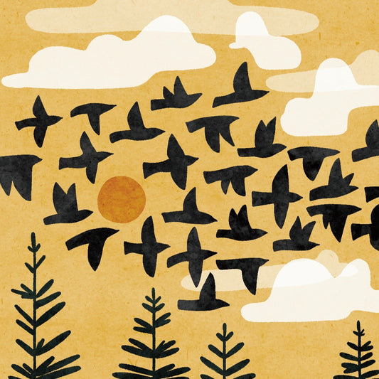 Migration image 0