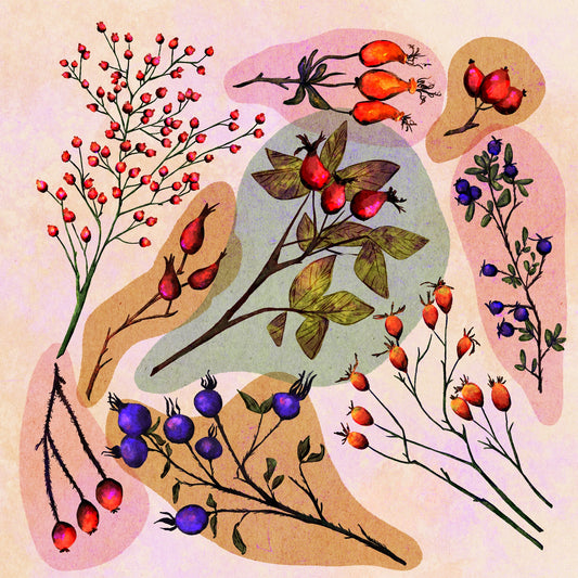 Sprig image 0