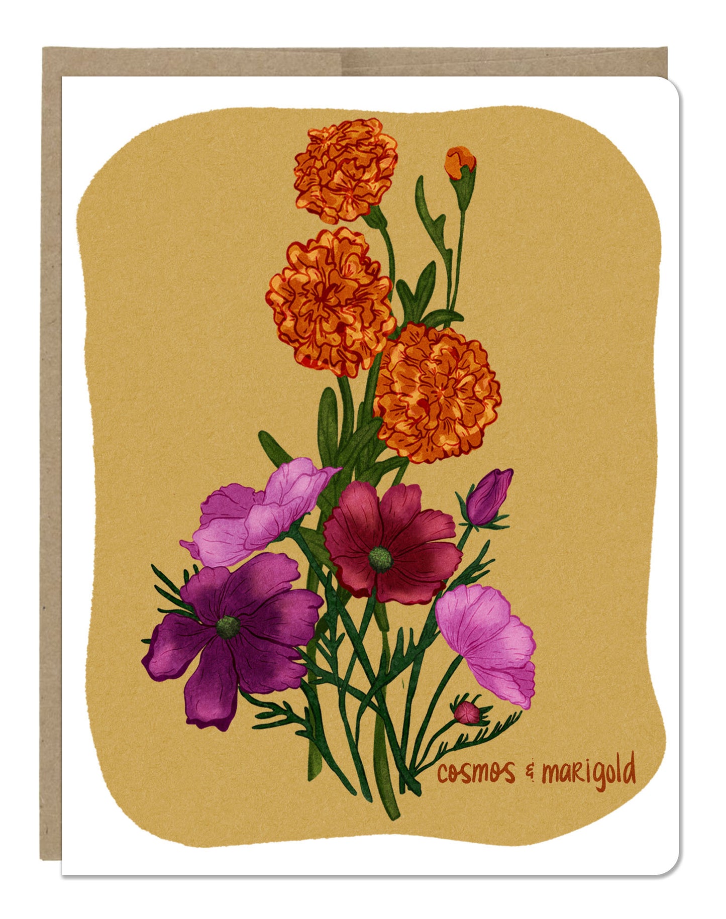 October Birth Month Flower Cosmos / Marigold