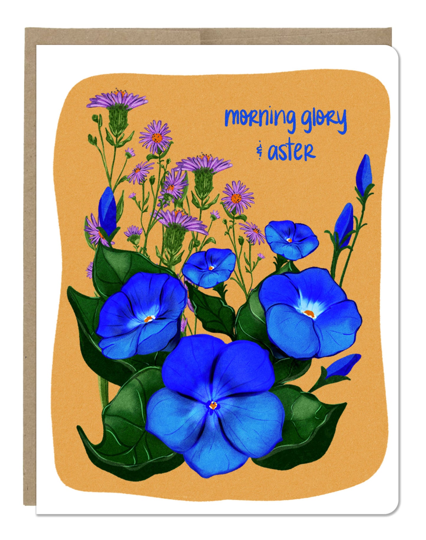September Birth Month Flower Morning Glory / Aster